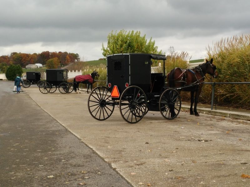 Explore the Heart of Ohio's Amish Country