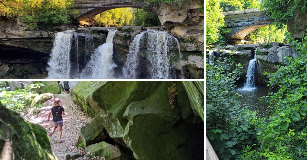 Explore this 145 acre Ohio park filled with two massive waterfalls and stunning forest scenery 1