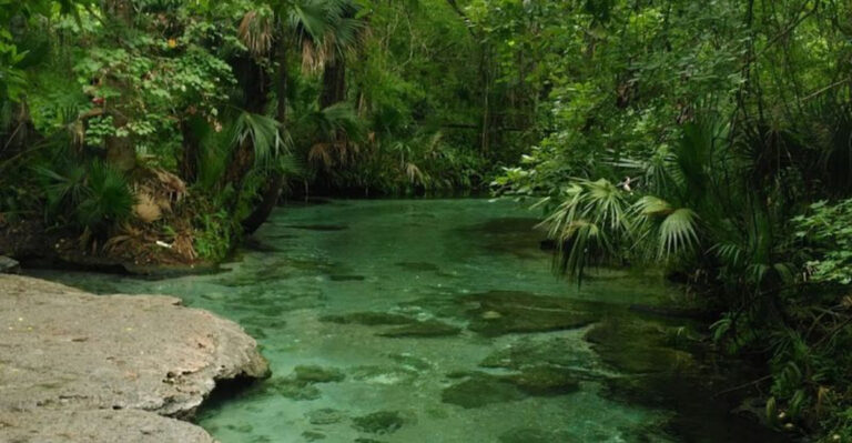 Explore this under-the-radar Florida park filled with enchanting springs and a natural lazy river
