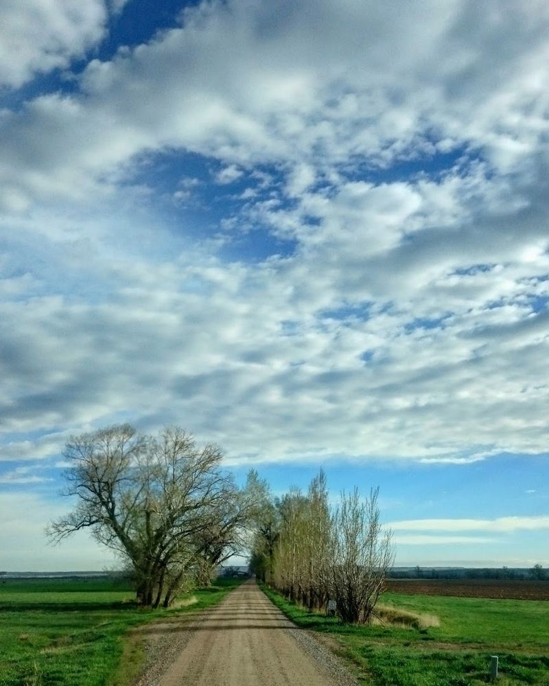 Exploring Roane County Back Roads: The Slow Drive Is the Point