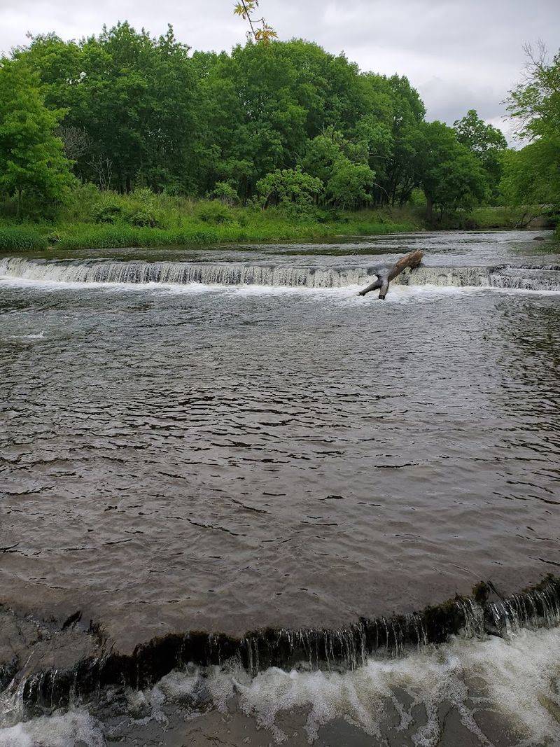 Exploring Will County's Natural Areas Near Wilmington