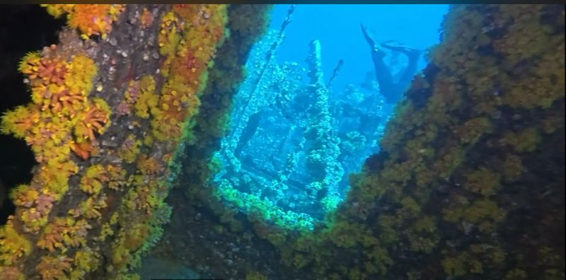 Exploring the Avocet and Other Memorable Wreck Sites