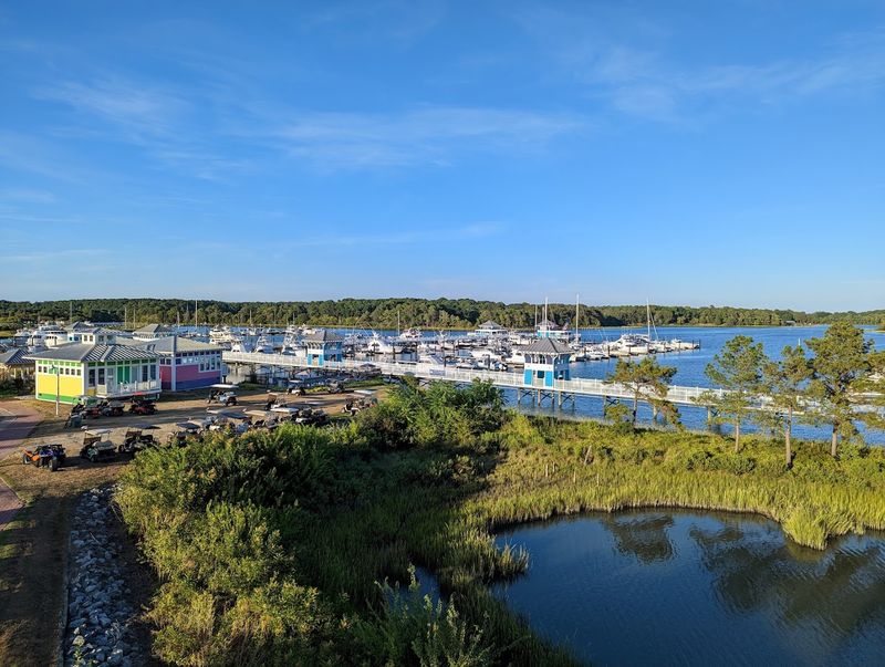Exploring the Surrounding Eastern Shore with Day Trips Worth Taking