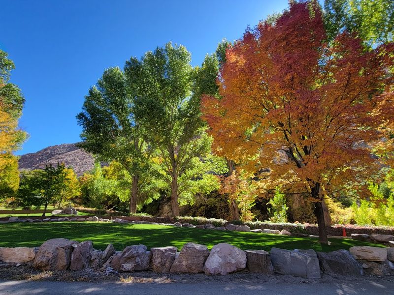 Fall Colors That Rival Any Leaf-Peeping Destination Fall Colors That Rival Any Leaf-Peeping Destination
