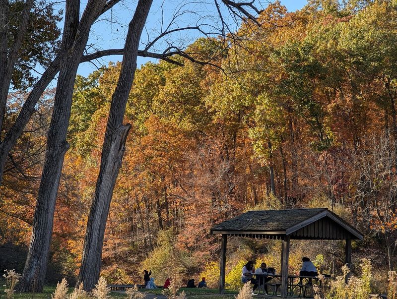 Fall Foliage Camping That Takes Your Breath Away