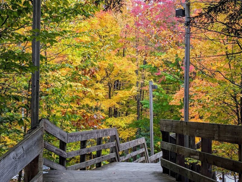 Fall Foliage Hiking: Michigan Autumn at Its Finest