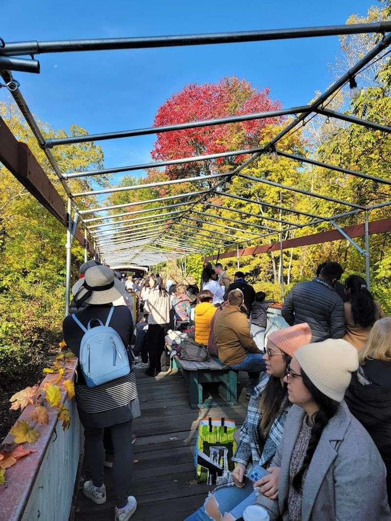 Fall Foliage Rides That Paint the Sky Orange and Gold Fall Foliage Rides That Paint the Sky Orange and Gold