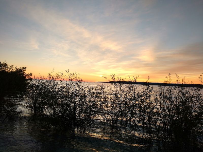 Fall Foliage Riding: Michigan's Most Colorful Season
