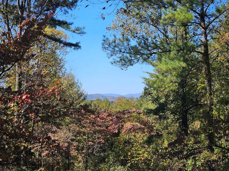 Fall Foliage Season at Its Most Spectacular Fall Foliage Season at Its Most Spectacular