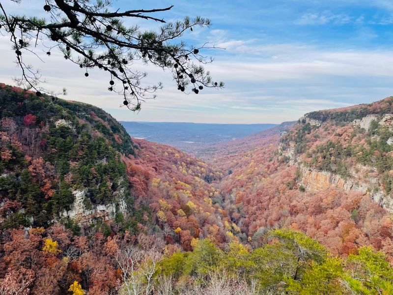 Fall Foliage That Looks Painted On Fall Foliage That Looks Painted On