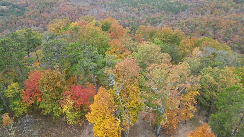 Fall Foliage That Rivals Any Leaf-Peeping Destination Fall Foliage That Rivals Any Leaf-Peeping Destination