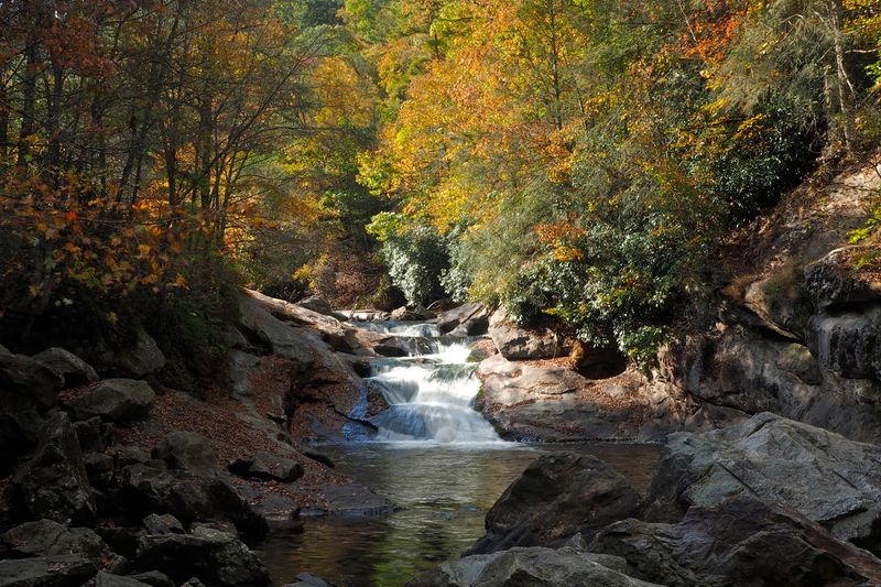 Fall Foliage That Stops Traffic (Literally)