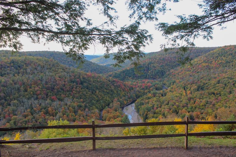 Fall Foliage That Stops Traffic