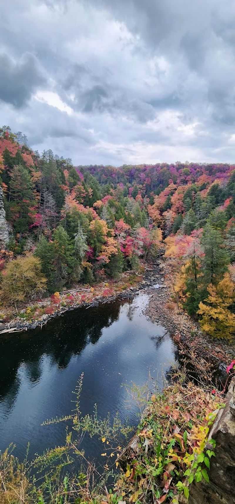 Fall Foliage That Stops You in Your Tracks
