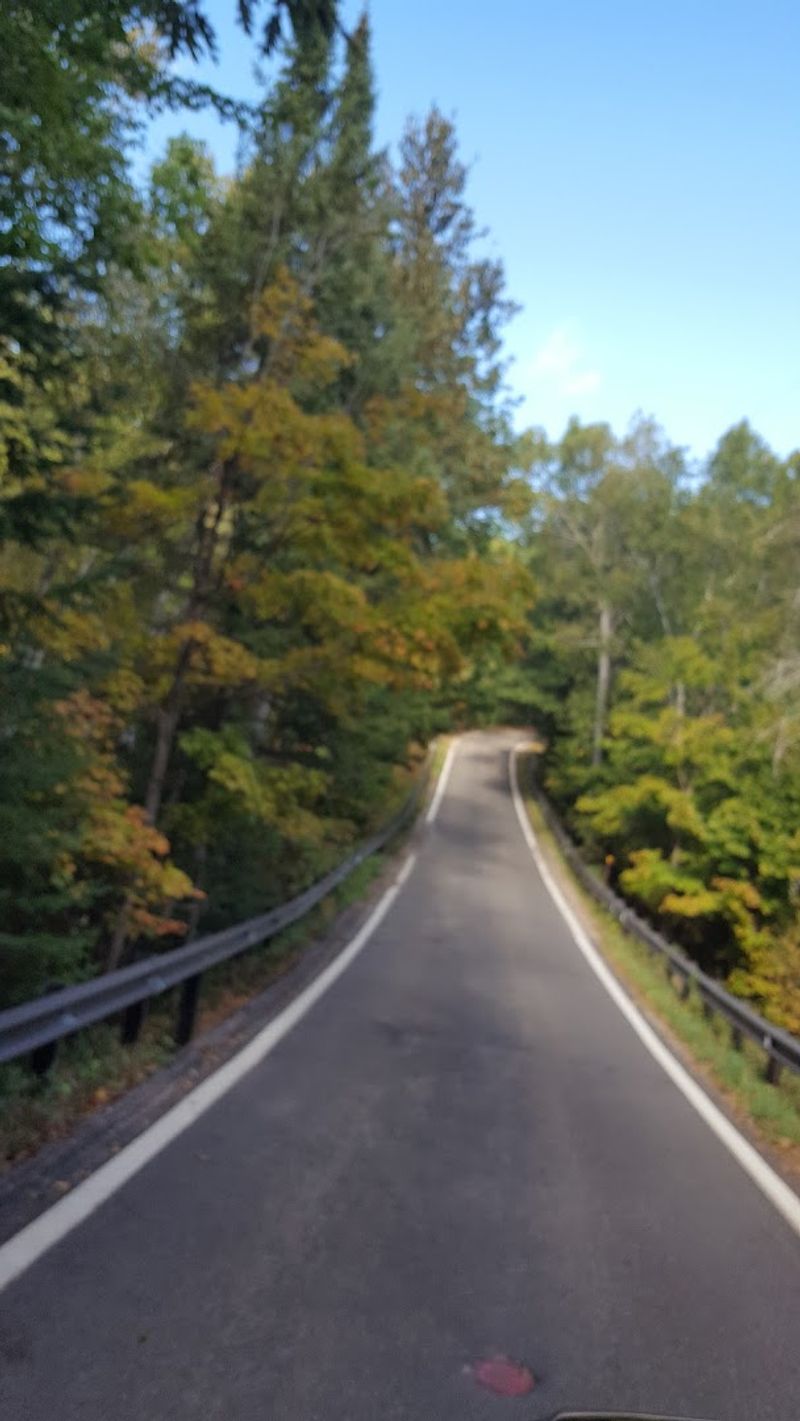 Fall Foliage That Stops You in Your Tracks