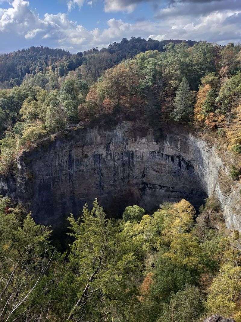 Fall Foliage That Transforms the Entire Park