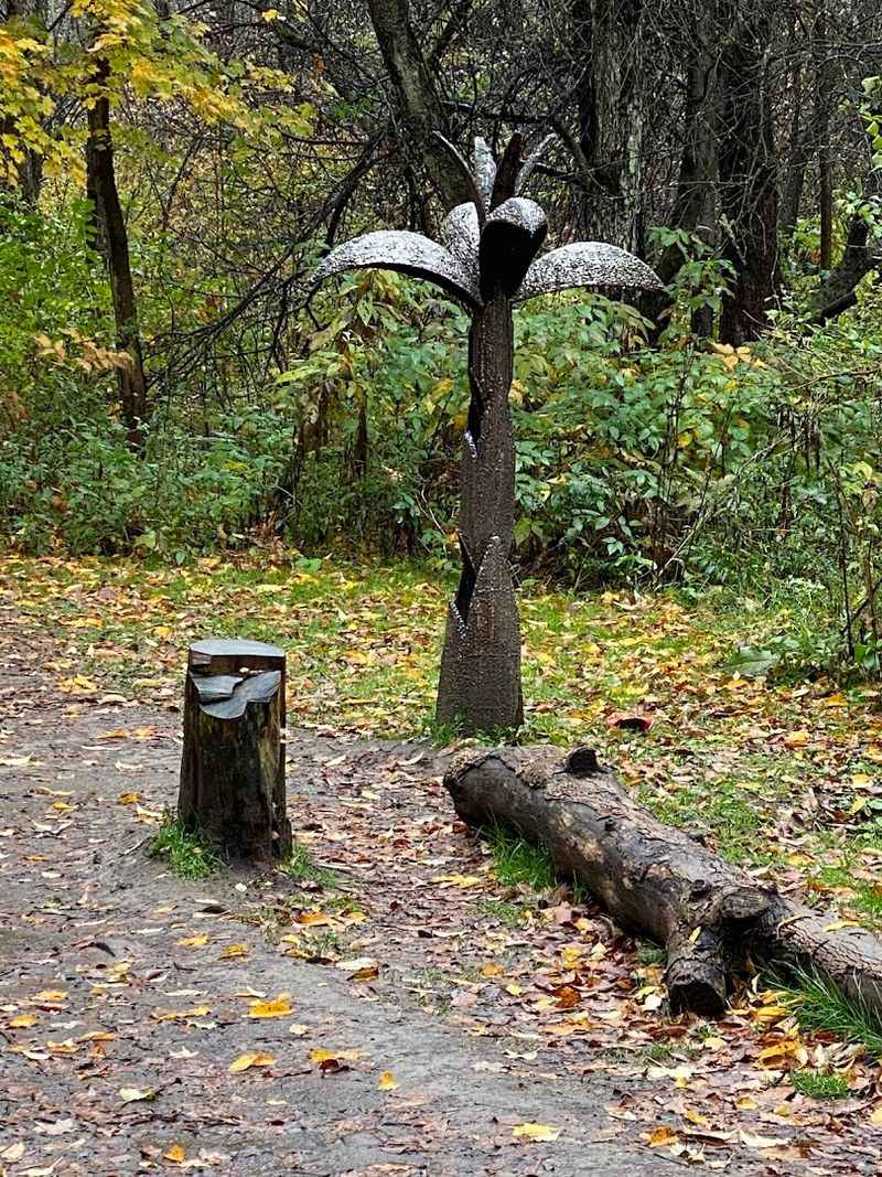 Fall Foliage Turns the Park Into a Masterpiece of Color