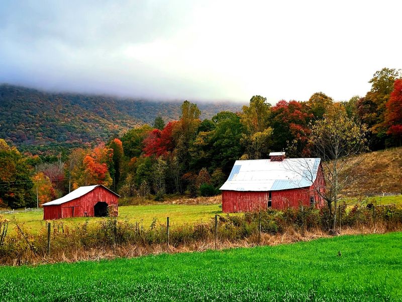 Fall Foliage Views in Damascus Fall Foliage Views in Damascus