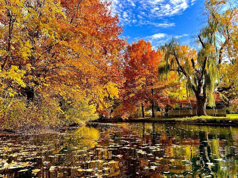 Fall Foliage Walks Through a Living Painting
