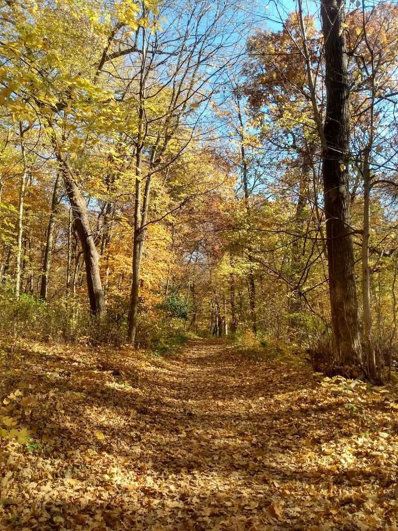 Fall Is Arguably the Best Time to Visit