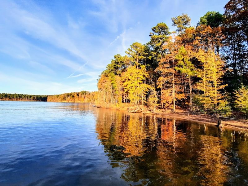 Falls Lake State Recreation Area - Wake Forest, North Carolina