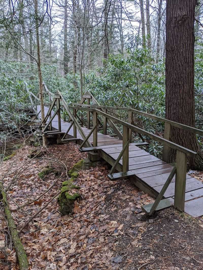 Family-Friendly Trail Accessibility