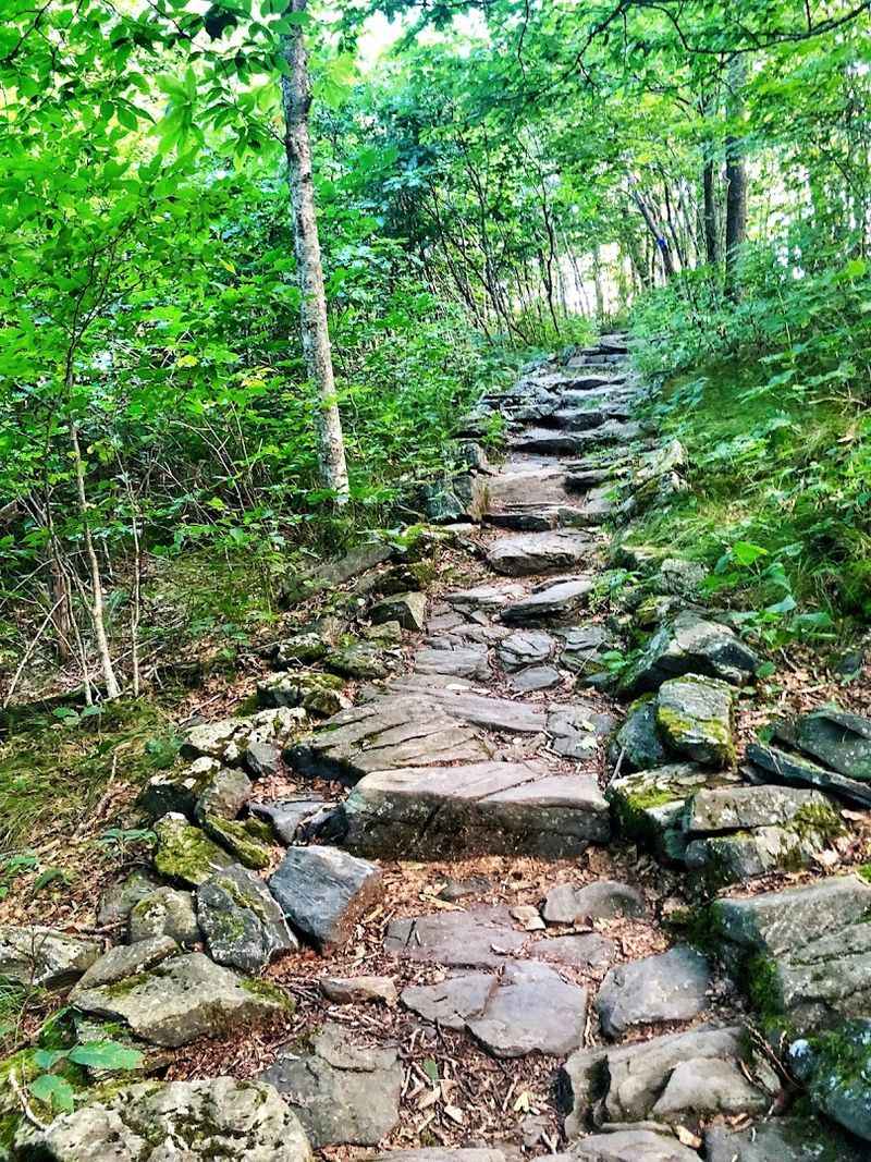 Family-Friendly Trails for All Ages and Skill Levels