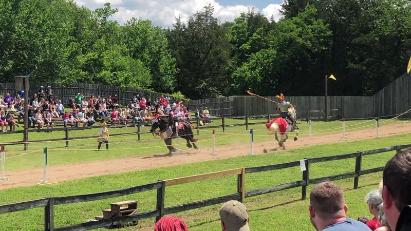 Family Fun and Activities at the Renaissance Festival