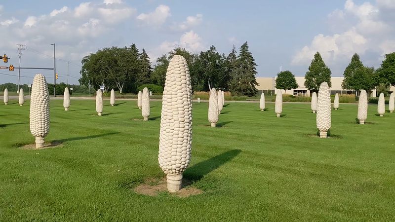 Field of Corn - Dublin, Ohio Field of Corn - Dublin, Ohio