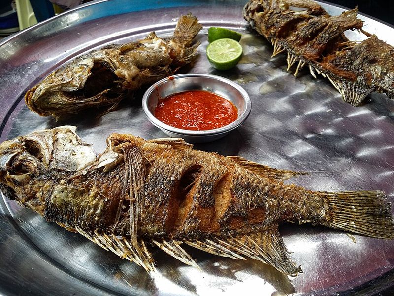 Fish