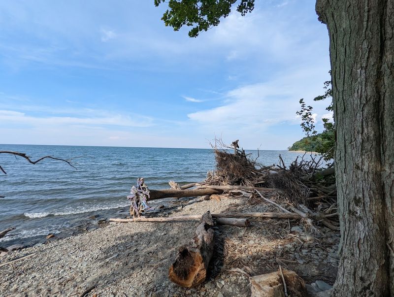 Fisherman's Path and the Driftwood-Covered Shoreline