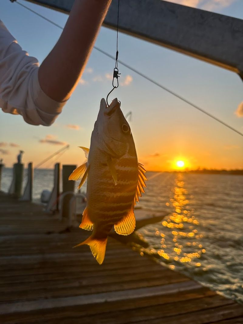 Fishing: A True Angler's Paradise