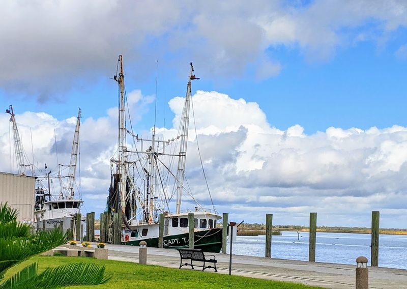 Fishing Adventures on the Gulf Coast