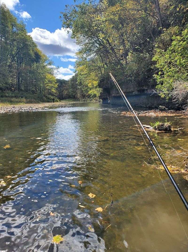 Fishing Along the Apple River