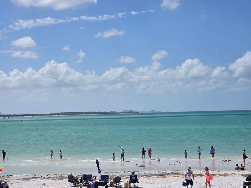 Fishing Along the Shoreline