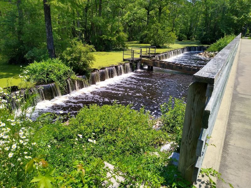 Fishing Off the Millpond Bridge