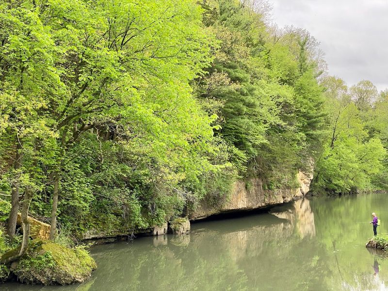 Fishing Opportunities Along the Park's Flowing Streams