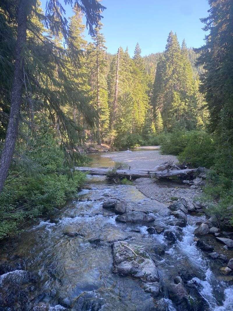 Fishing Opportunities in Beautiful Mountain Streams