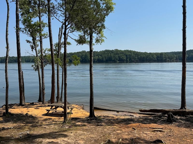 Fishing Paradise Right at Your Doorstep Fishing Paradise Right at Your Doorstep