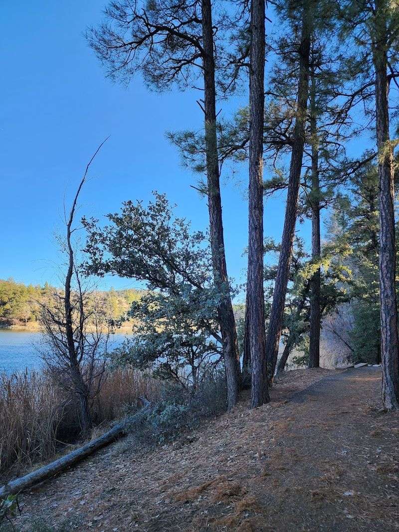Fishing at Lynx Lake Is a Genuine Treat
