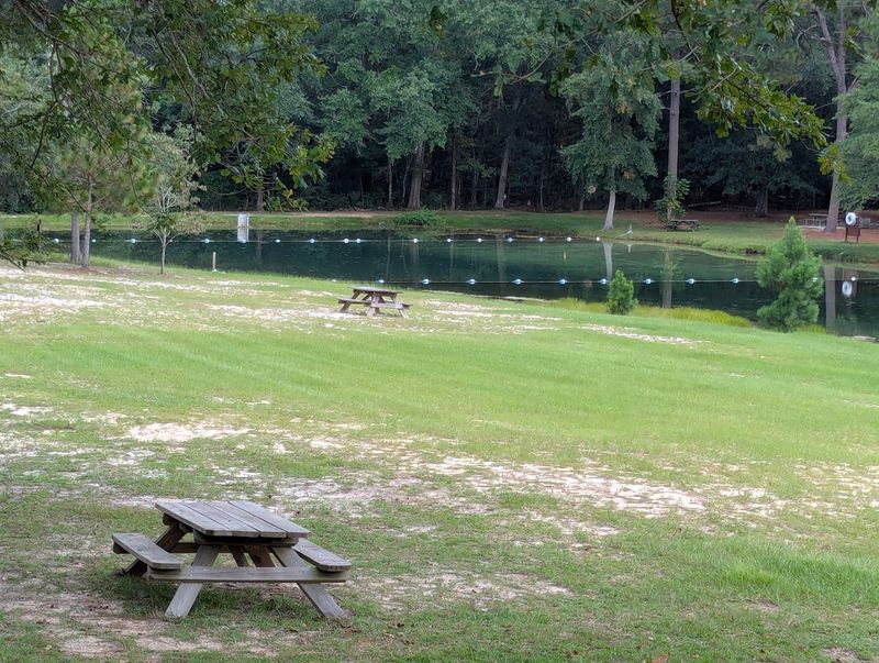 Fishing at the Park's Lakes