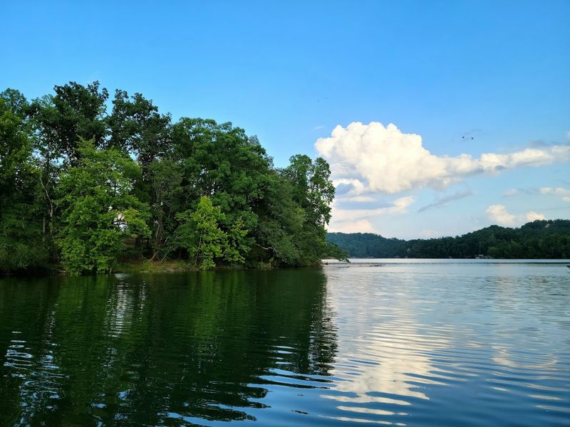 Fishing on Watts Bar Lake: Cast a Line, Catch a Memory