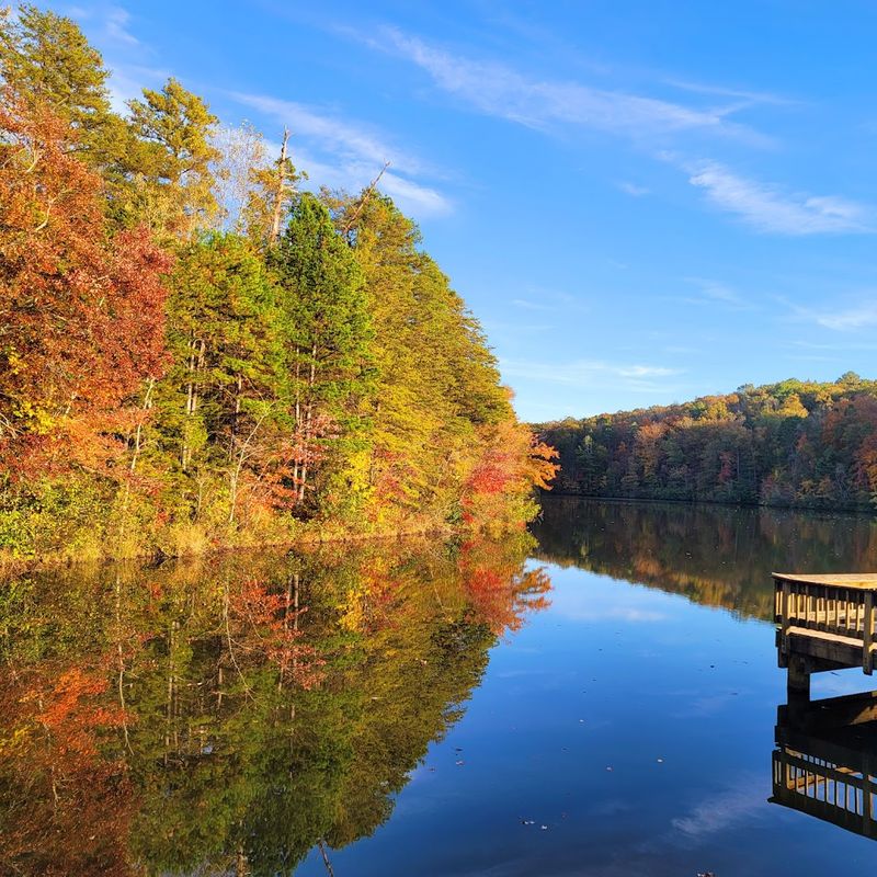 Fishing on the Lake for a Relaxing Afternoon