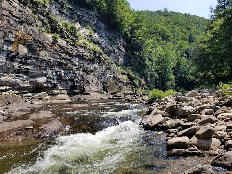 Fishing the Loyalsock Creek Like a Local