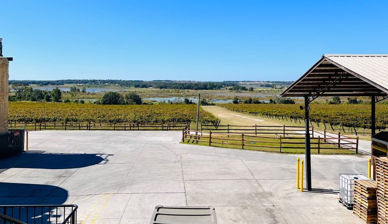 Florida's Largest Winery With a Rich History