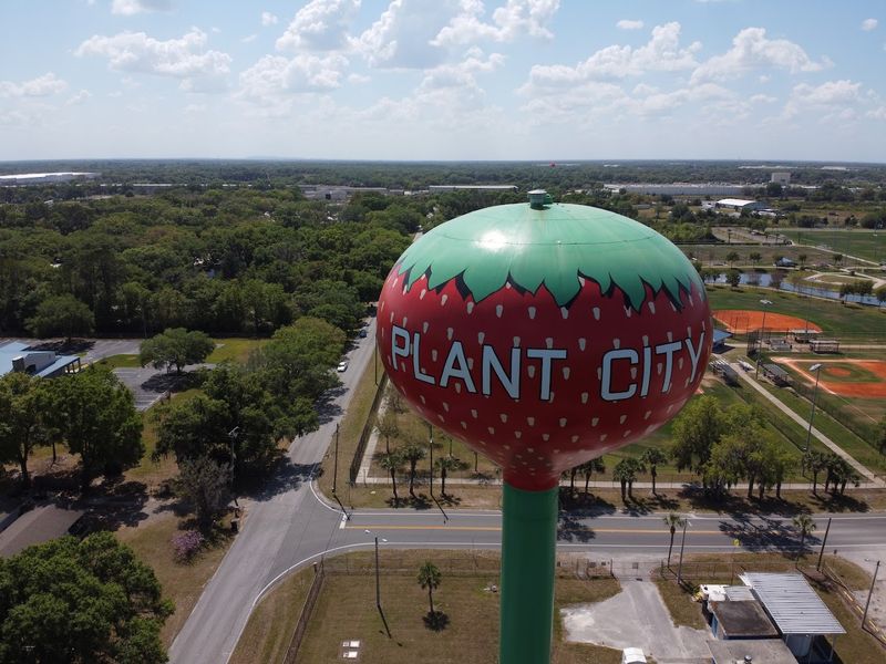 Florida's Love for Quirky Roadside Attractions