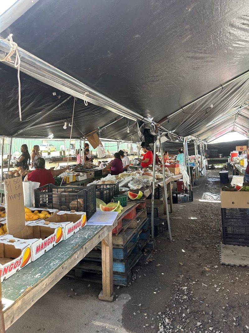 Food Trucks and Vendor Food That Smells Amazing