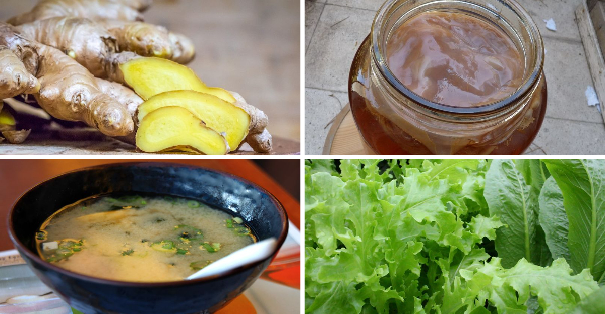 Foods that help support healthy digestion