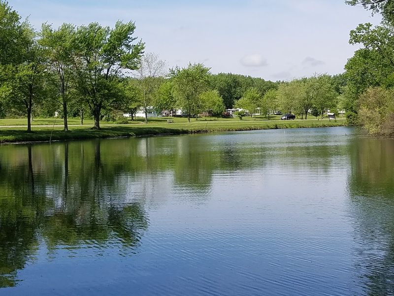 Forked Creek Forest Preserve