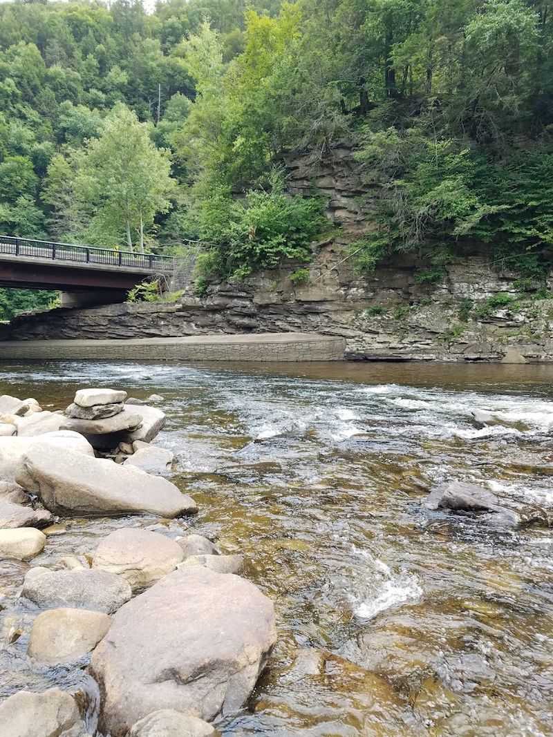 Forksville and Nearby Conveniences